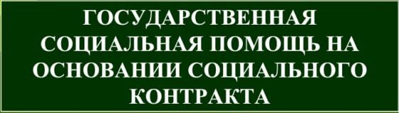 государственная социальная помощь - фото - 1